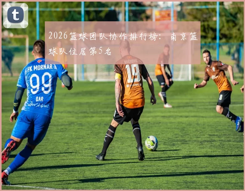 2026篮球团队协作排行榜：南京篮球队位居第5名