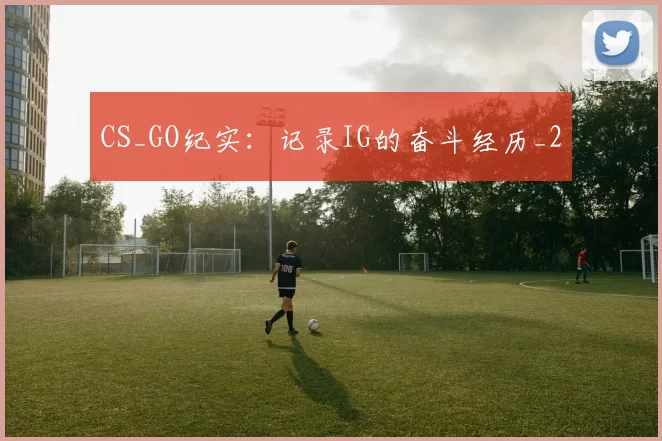 CS_GO纪实：记录IG的奋斗经历_2