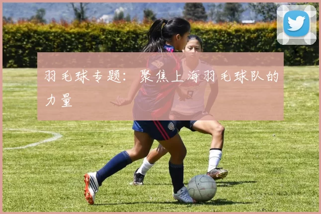 羽毛球专题：聚焦上海羽毛球队的力量