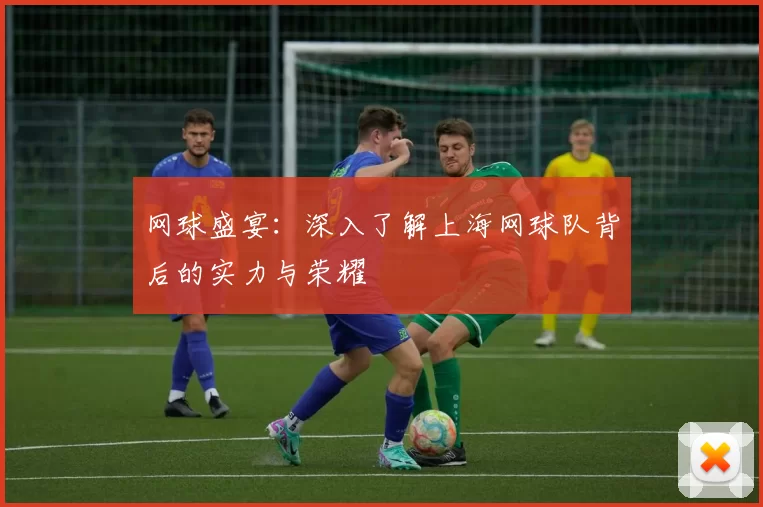 网球盛宴：深入了解上海网球队背后的实力与荣耀