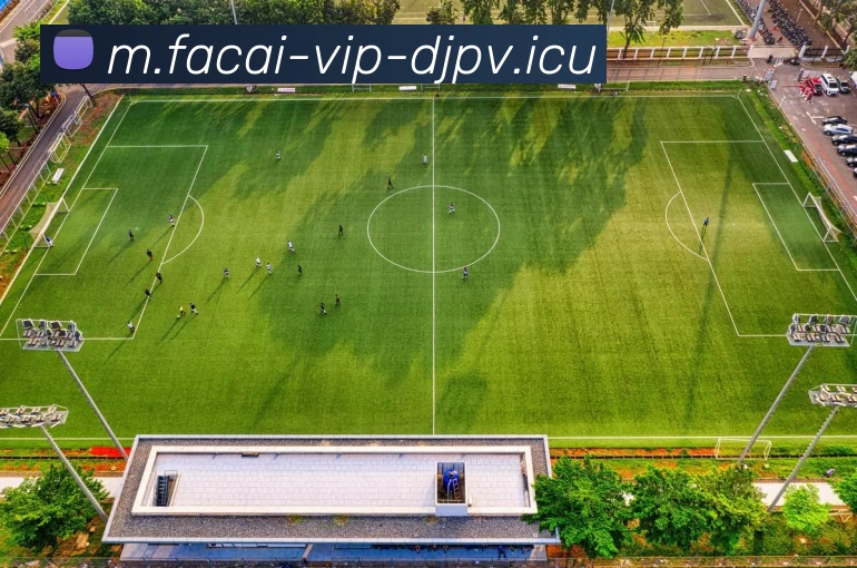 华体会体育平台生态图